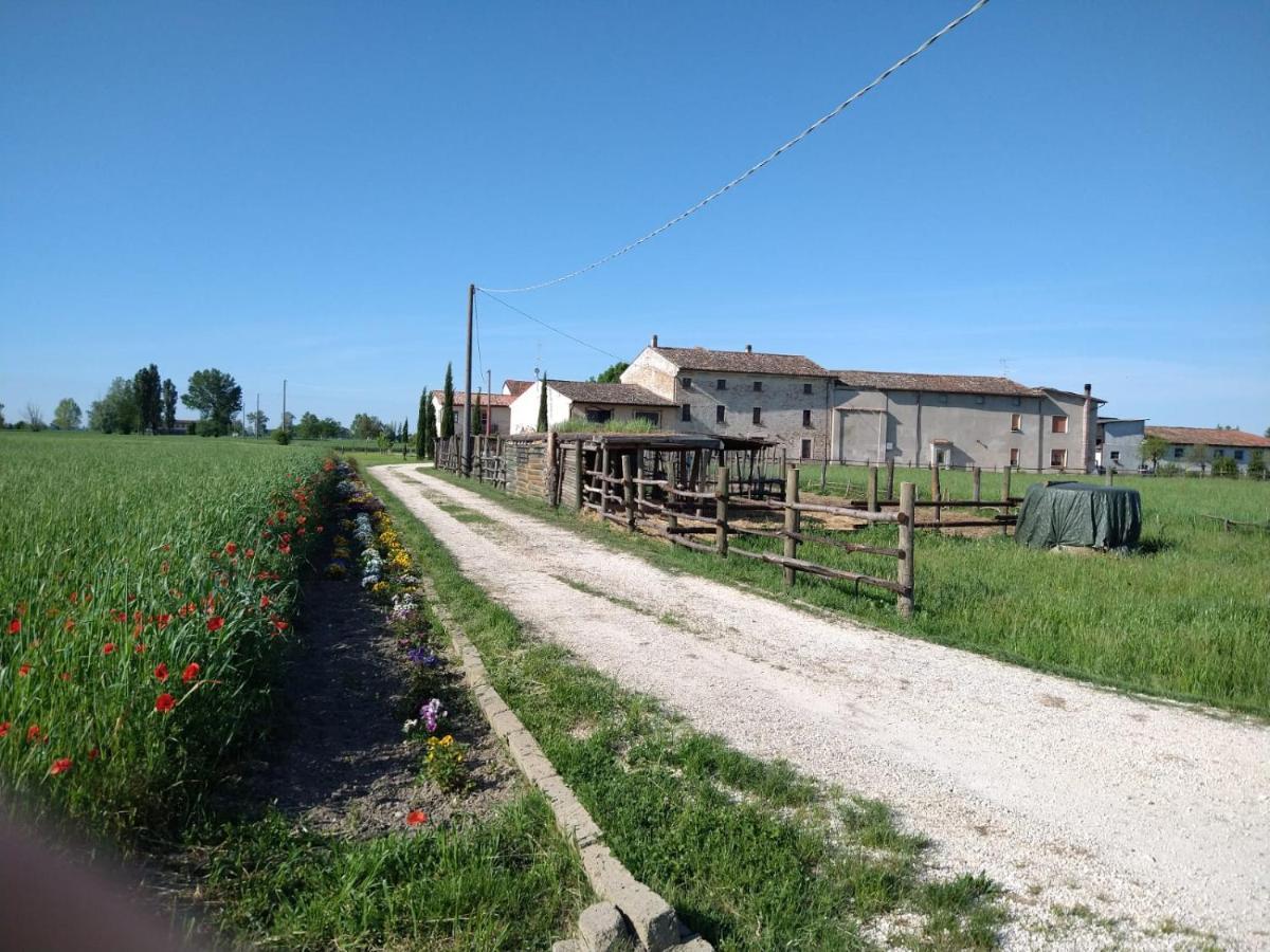 B&B Castel Goffredo San P 3 Exterior photo
