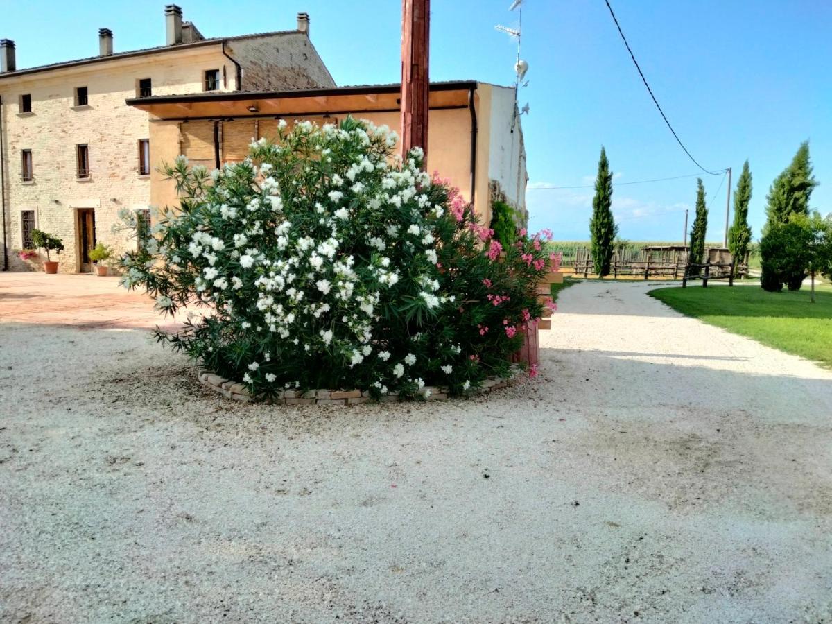 B&B Castel Goffredo San P 3 Exterior photo