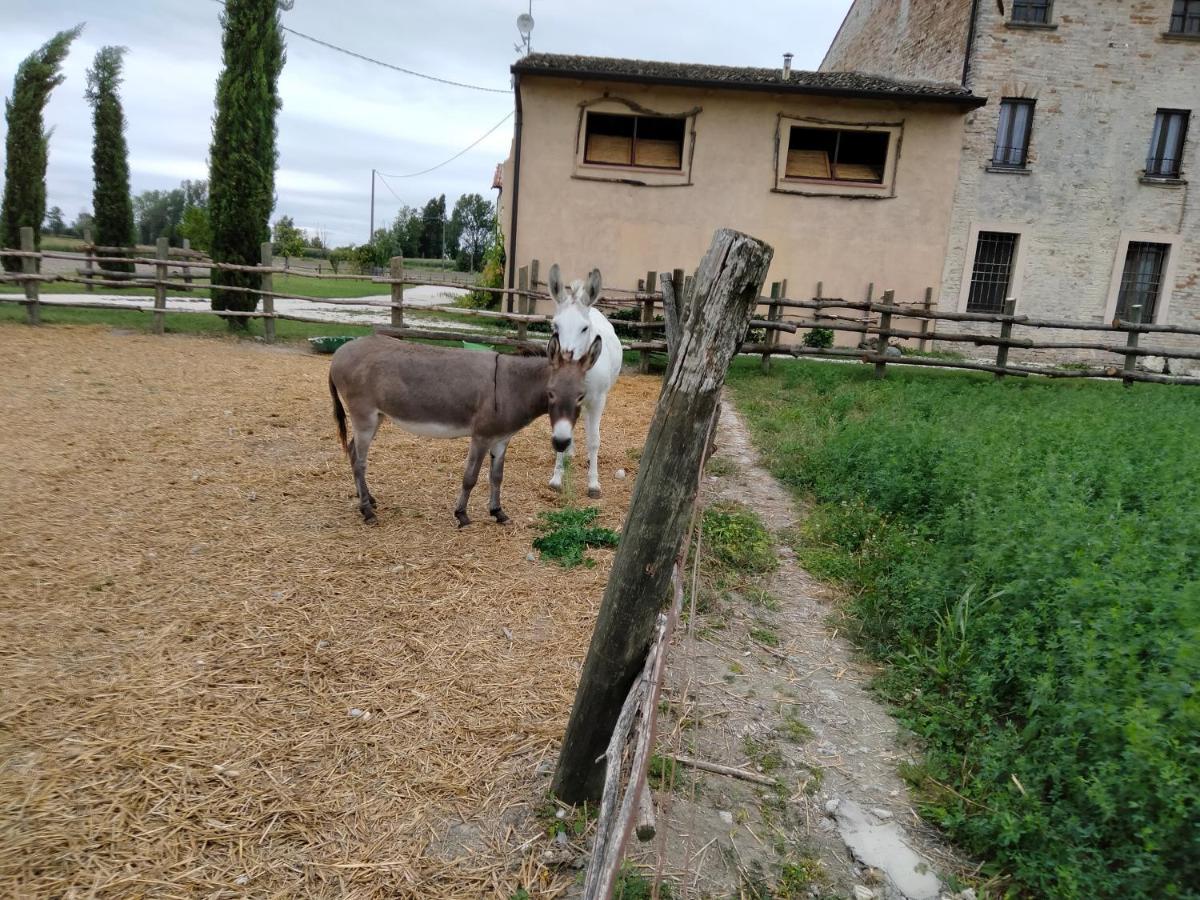 B&B Castel Goffredo San P 3 Exterior photo